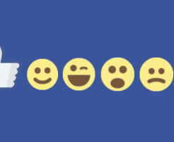 ネットビジネス集客の為のFacebookフォローボタンをブログに設置方法