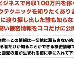 新商材「ネットビジネス裏ノウハウテクニック2」発売します
