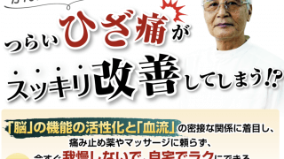 【29大特典付】ひざ痛改善５ミニッツ 自宅でラクにできる青坂式ひざ痛改善プログラム評判口コミ感想レビュー